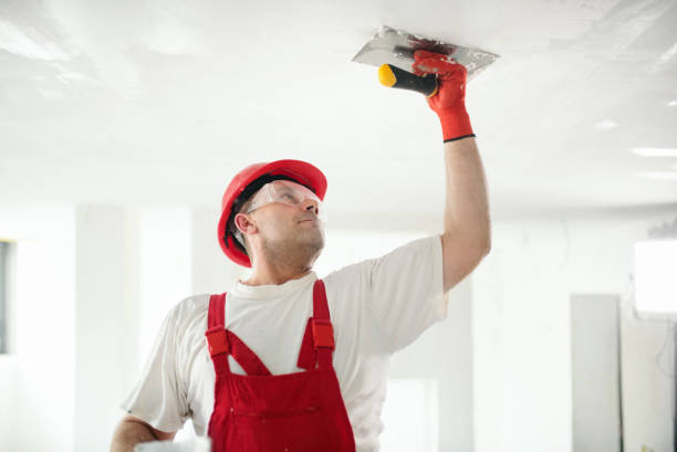 Best Eco-Friendly and Low-VOC Painting  in Napoleon, OH