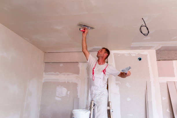  Napoleon, OH Painting & Drywall Services Pros