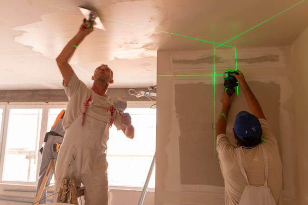 Best Drywall Sanding and Smoothing  in Napoleon, OH