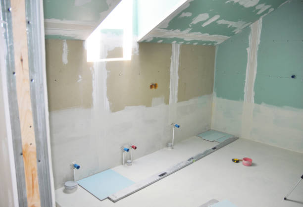 Best Fire-Damaged Drywall Repair  in Napoleon, OH